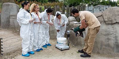 Erasmuslu öğrenciler Bursa Hayvanat Bahçesi’nde
