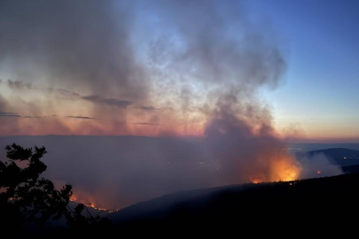 Bilecik yangını Bursa'ya dayandı: Hazırlıklar başladı