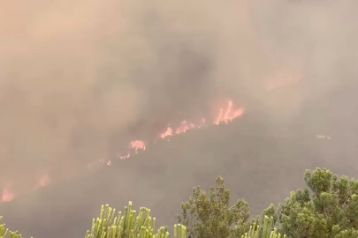 Bursa Büyükşehir'den yaklaşan yangına karşı uyarı!