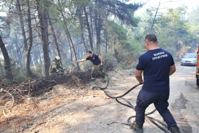 Büyükşehir'den Gündoğdu yangını seferberliği