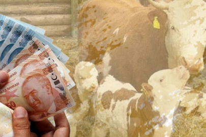 Çiftçilere müjde: 4,5 milyar TL destek hesaplarda