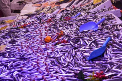 Eskişehir’de balık satış yerlerine ortak denetim