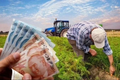 Çiftçiye 471 milyon TL destek hesaplarda