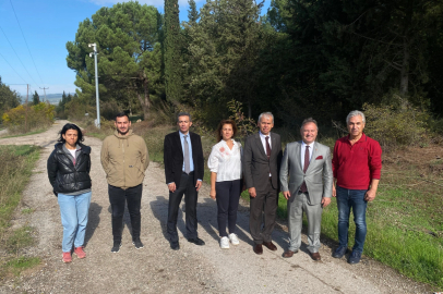 Bursa tarımına akademik bakış