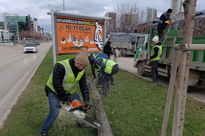 LODOSA KARŞI BÜYÜKŞEHİR EKİPLERİ SAHADA