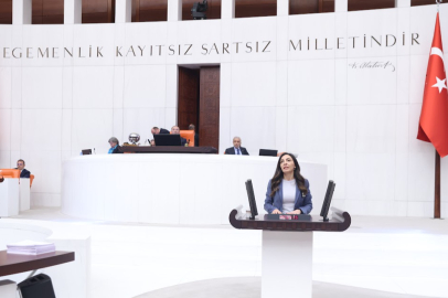 Altaca Kayışoğlu,  yurt dışında yaşayan yurttaşların karşı karşıya olduğu sorunları gündeme taşıdı.