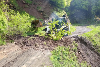 Ordu’da kuvvetli yağış sonrası 120 heyelan